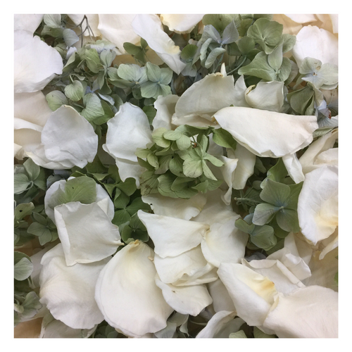 Irish Blend Preserved Freeze Dried Rose & Hydrangea Petals