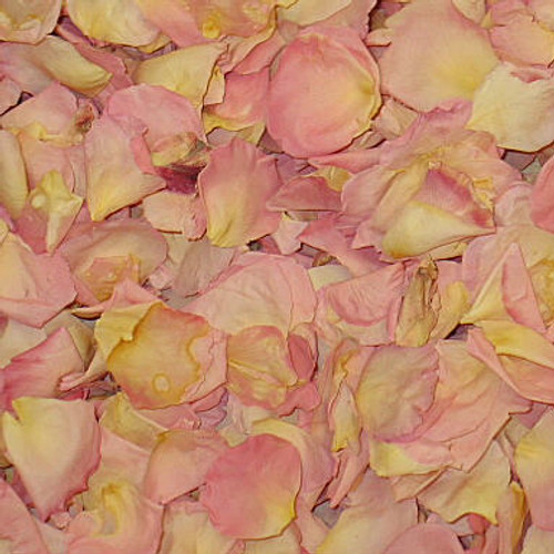 "BB" BillyW Preserved Freeze Dried Rose Petals