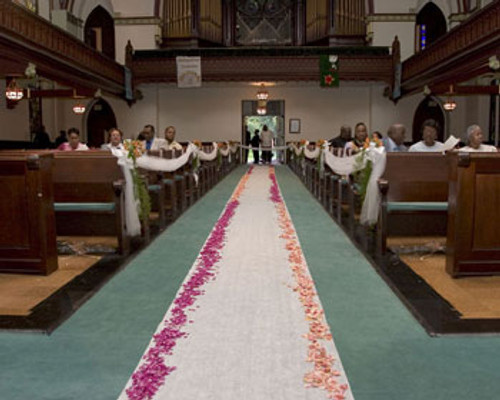 Shaylin & Omari's Wedding Aisle