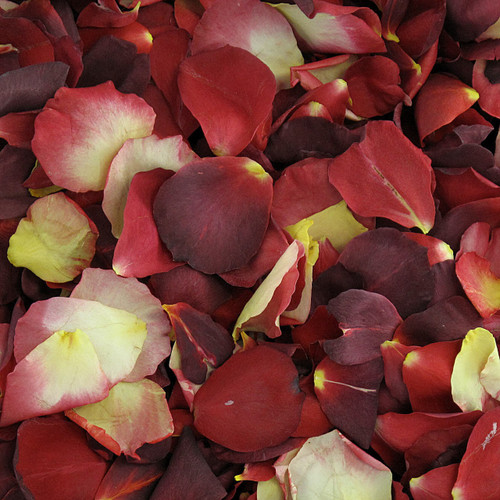 Celebrity Preserved Freeze Dried Rose Petal Blend