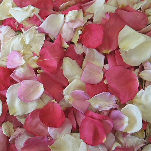 Pretty in Pink Blend Preserved Freeze Dried Rose Petals