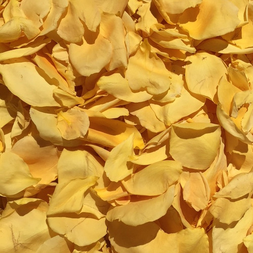 Ch-Ching Golden Yellow Eco-friendly, freeze dried rose petals by Flyboy Naturals.