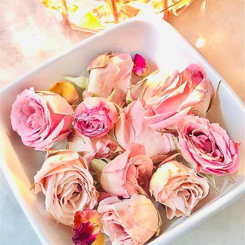 Petite Pink Rosebuds | 12 Freeze- dried Mini Real Roses, Craft Supply, Wedding Decoration, Resin Jewelry Supply