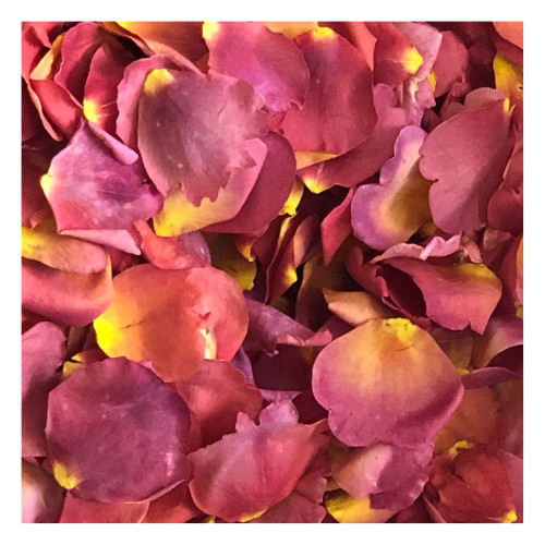 Easy Does It Real Rose Petals Eco-friendly & Bio-degradable
