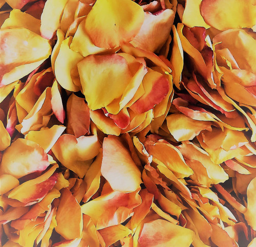 Good As Gold Real Rose Petals Eco-friendly & Bio-degradable