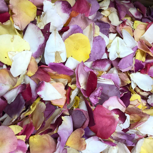 "BB" Pathway Funfetti Real Rose Petal Blend Eco-friendly & Bio-degradable