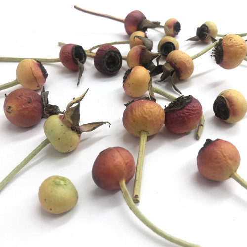 NEW Organic Freeze-Dried Rose Hips 10 cups - 1 pound