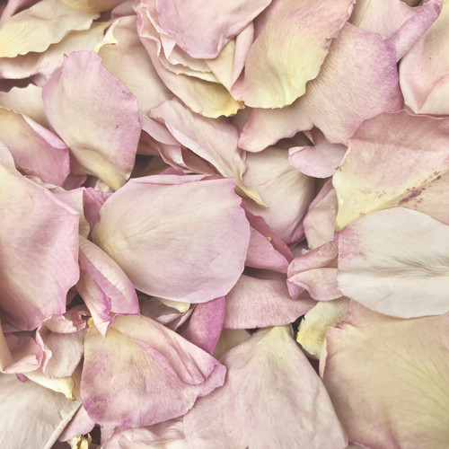 Mauvelous Moments Mauve Freeze-Dried Rose Petals. Made in the USA.