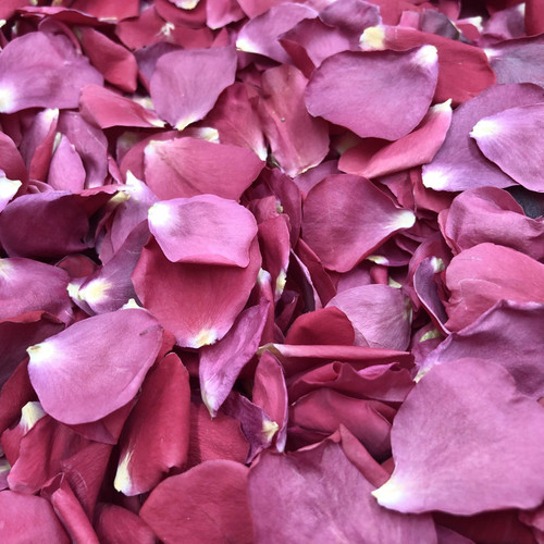 Proposal Pink Real Rose Petals | Freeze-Dried, Eco-Friendly, Biodegradable | Made in USA | 100% Natural | No Tariffs