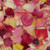 Freeze Dried Assorted Color Petals