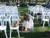 Flower girl places rose petals