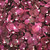 "BB" Merlot PreservedFreeze Dried Pathway Petals