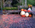 Jodi & Michaels Wedding Petals ll