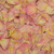 "BB" Pink Preserved Freeze Dried Rose Petals