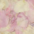 Ivory Bridal Pink Preserved Freeze Dried Rose Petal Blend