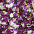 "BB" #1 Blend Preserved Freeze Dried Rose Petals