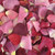 Very Berry Blend Preserved Freeze Dried Rose Petals