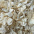 Pathway Ivory / Overstock Vanilla Imperfect Petals