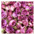 Petite Pink Rosebuds | 12 Freeze- dried Mini Real Roses, Craft Supply, Wedding Decoration, Resin Jewelry Supply