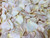 Easy Spirit Real Rose Petals
