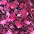 Oh My Red Real Rose Petals Eco-friendly & Bio-degradable
