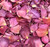 New! We Salute You Rose Petals Eco-friendly & Bio-degradable