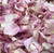 "BB" Pathway Bridal Pink Real Rose Petals Eco-friendly & Bio-degradable