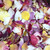 "BB" Pathway Funfetti Real Rose Petal Blend Eco-friendly & Bio-degradable
