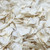Pathway | Aisle Ivory Rose Petals. 15 cups Real Rose Petals. Slightly Imperfect Petals for Tossing & Aisle 