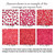 NEW Blush Ivory Real Rose Petals | Freeze-Dried, Eco-Friendly, Biodegradable | Made in USA | 100% Natural | No Tariffs