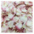 Blush Ivory Real Rose Petals | Freeze-Dried, Eco-Friendly, Biodegradable | Made in USA | 100% Natural | No Tariffs