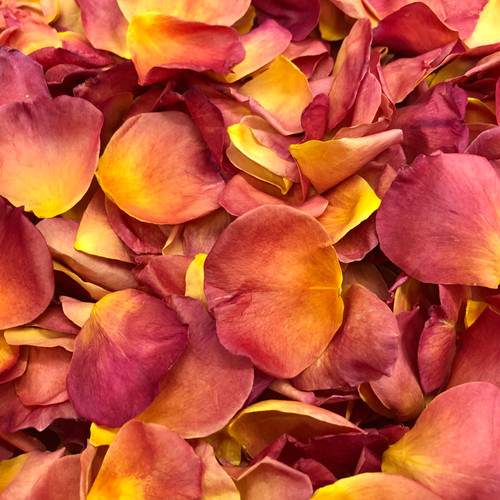 Falling for Petals: Clever Ways to Use Rose Petals in the Fall