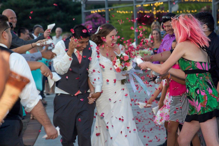 Petals That Party Harder Than You Do: The Freeze-Dried Rose Petals That Never Quit  
