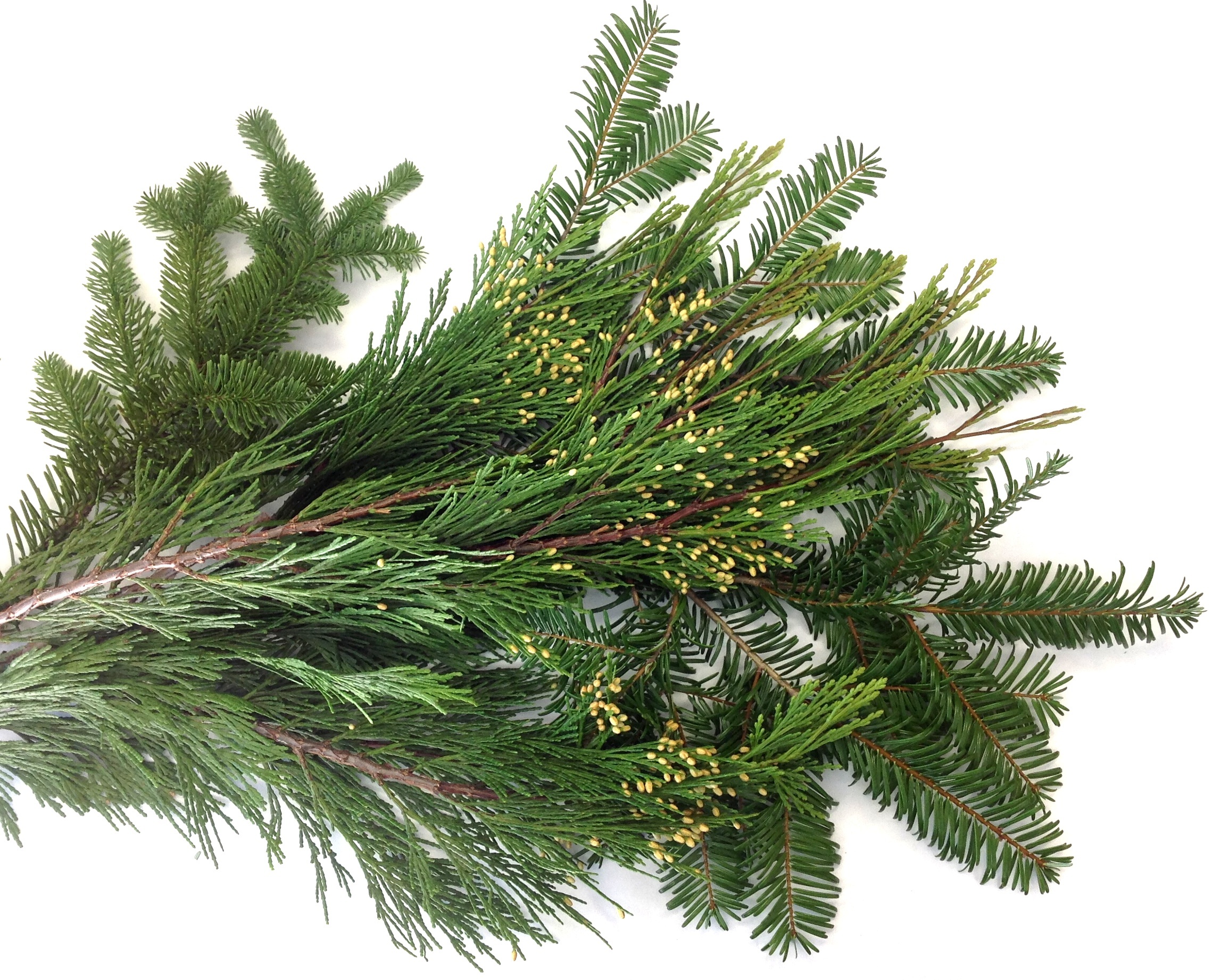 Mixed Christmas Greens