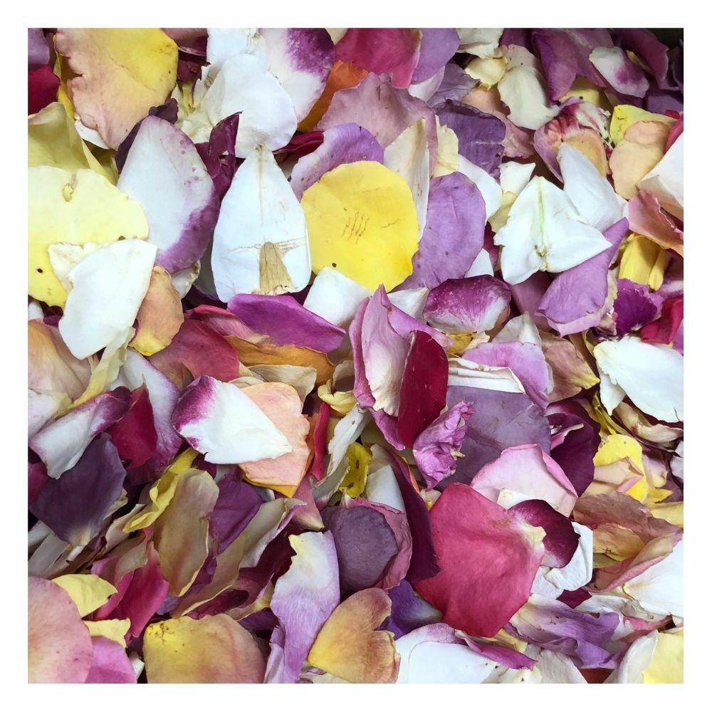 All American Beauty Freeze-dried Real Rose Petals Wedding Petals. Grown in  Oregon USA