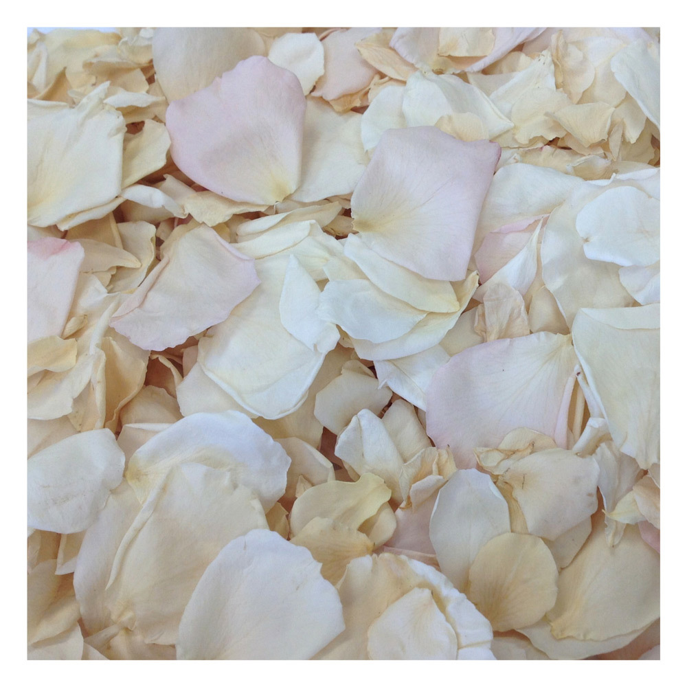All My Loving Real Rose Petals Freeze-dried, Eco-friendly, Biodegradable,  Grown in Oregon, USA