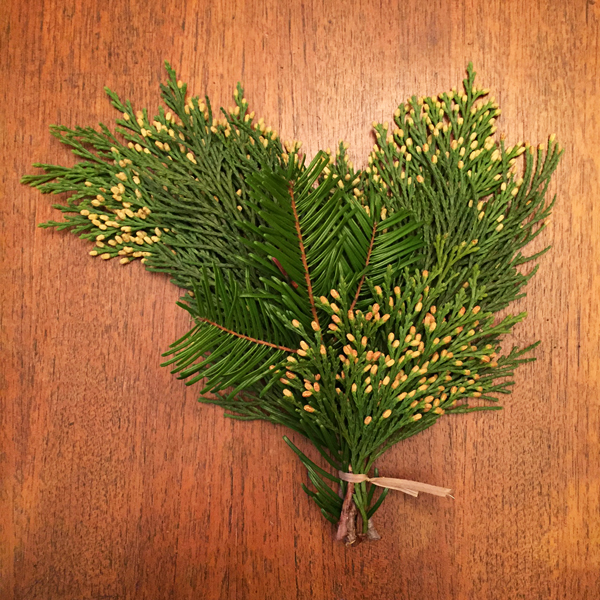 DIY Fresh Greens Garland Flyboy Naturals Flyboy Naturals, Inc