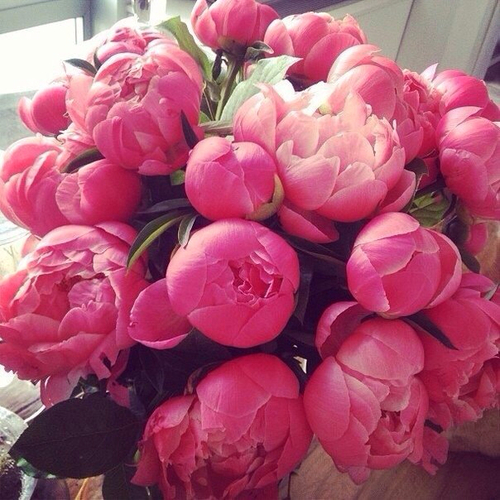 Tips for extending fresh cut flower vase life Flyboy Naturals, Inc