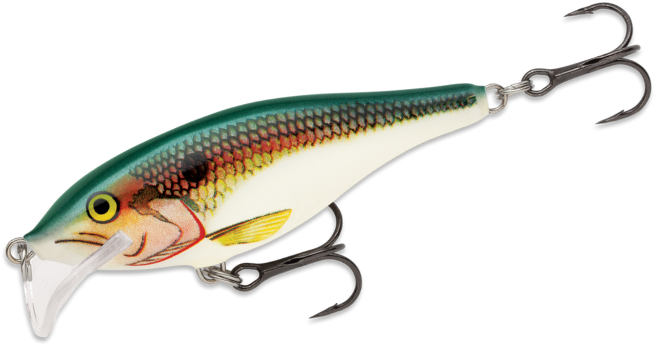 rapala scatter rap shad