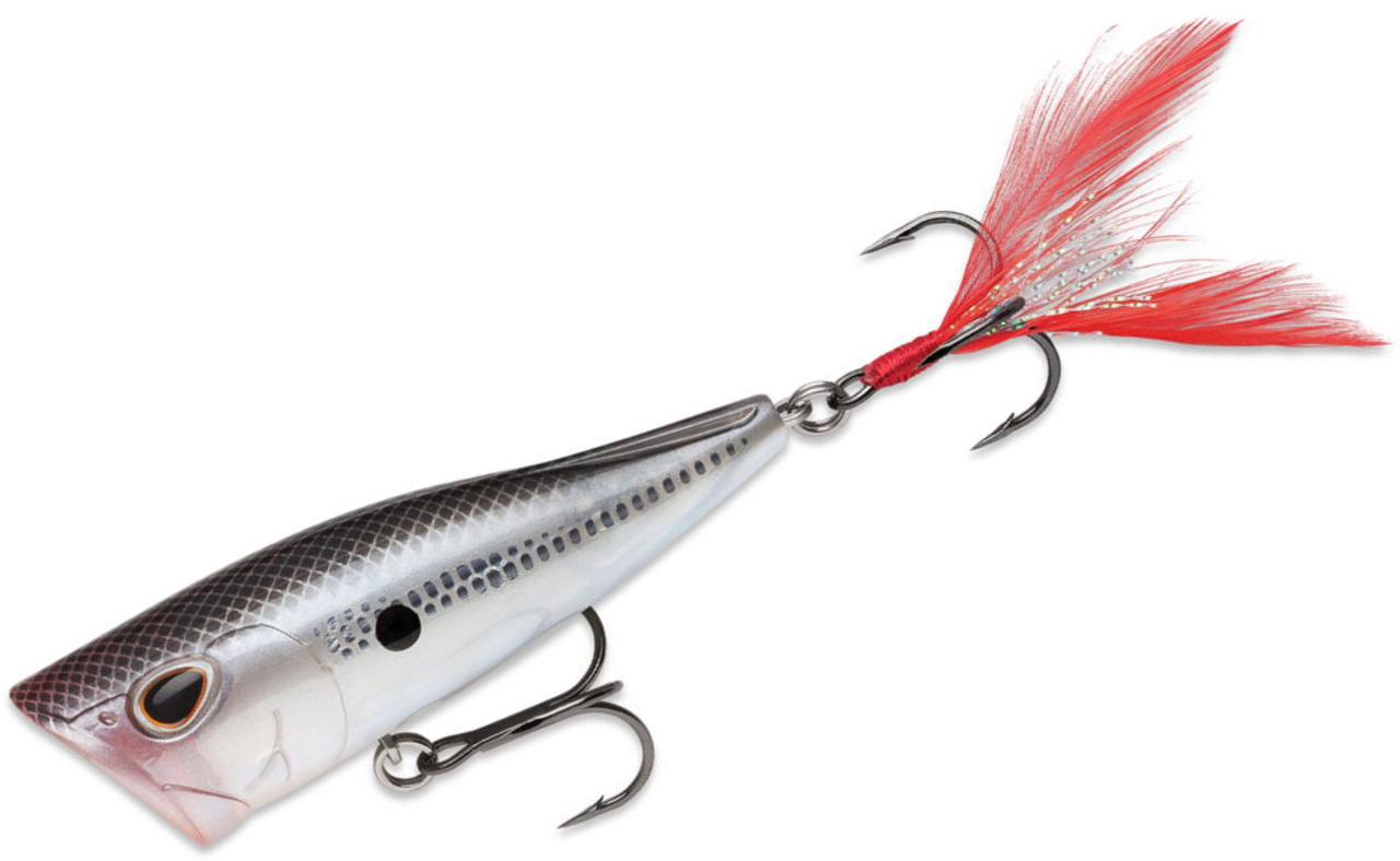 Storm Arashi Rattling Cover Pop 1/2oz: Black Silver Shad - Vimage