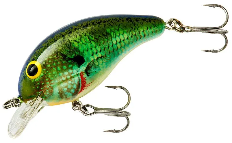cr fishing lures Craz Crankbait Deep Diving like flight and high buoyancy CR-10 Crankbaits The Hook