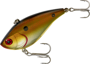 Copper Shiner