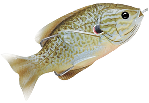 Natural Blue Pumpkinseed Natural Blue Pumpkinseed