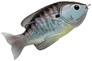 Blue Metallic Bluegill Blue Metallic Bluegill