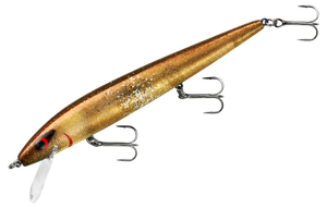 Golden Shiner Golden Shiner