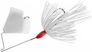 White White White White