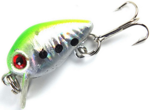 Citrus Shad Citrus Shad