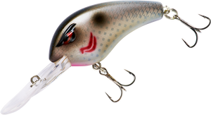 Real Gizzard Shad Real Gizzard Shad
