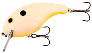 Bone Orange Belly Bone Orange Belly