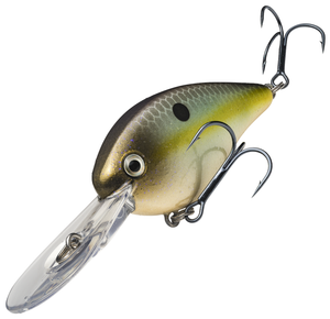 Summer Sexy Shad Summer Sexy Shad